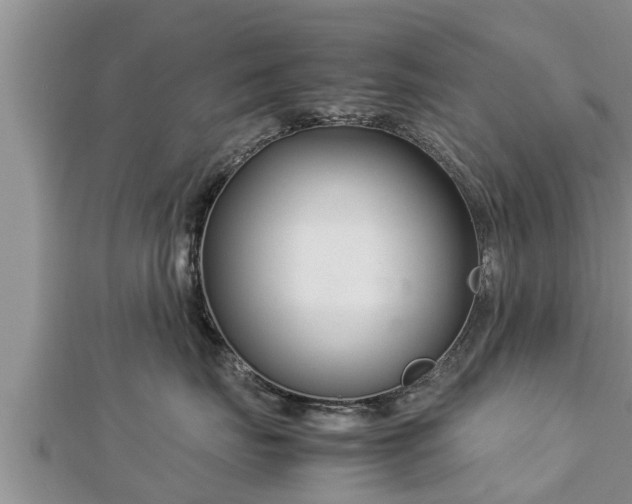 X0000112790671200908281508