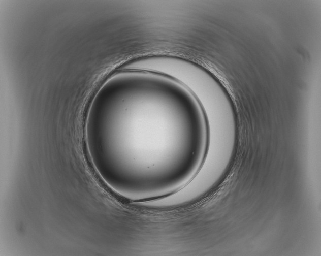 X0000112790673200908281507