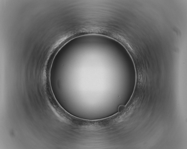 X0000112790674200908281507