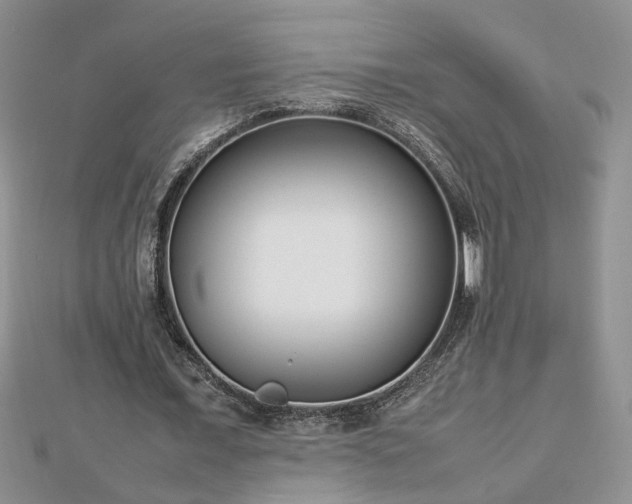 X0000112790675200908281507