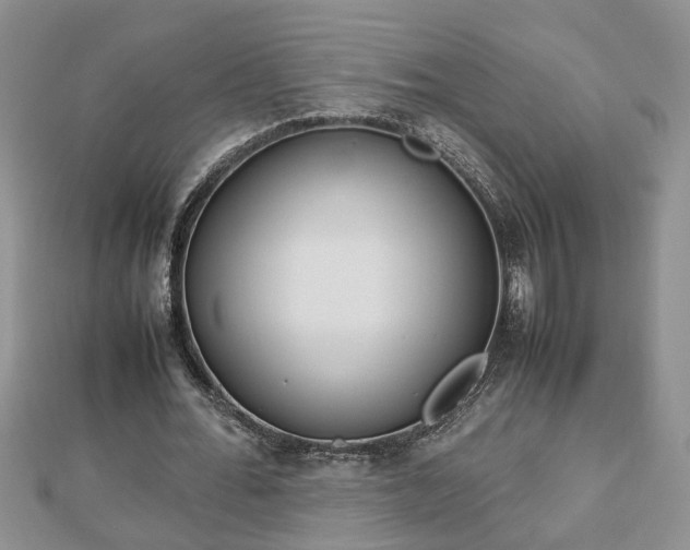 X0000112790676200908281507