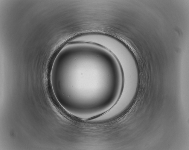 X0000112790677200908281507