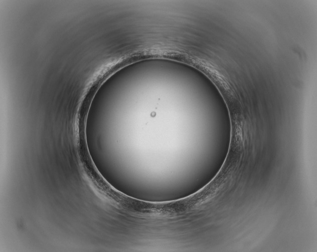 X0000112790678200908281507