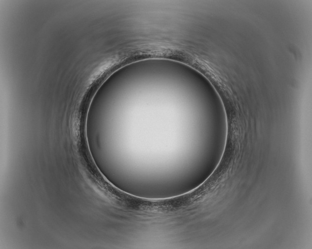 X0000112790679200908281507