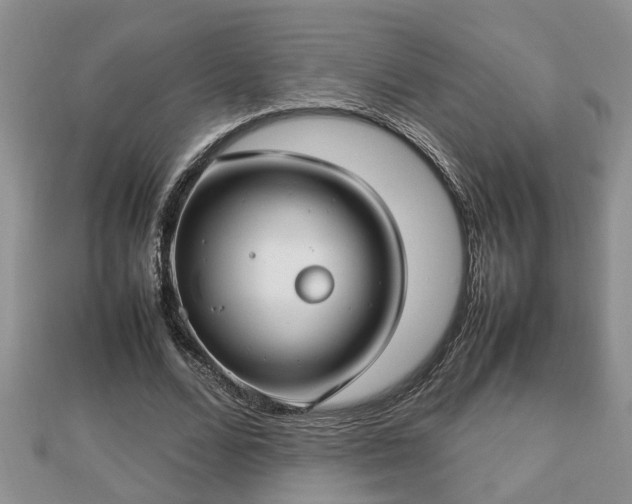 X0000112790680200908281507