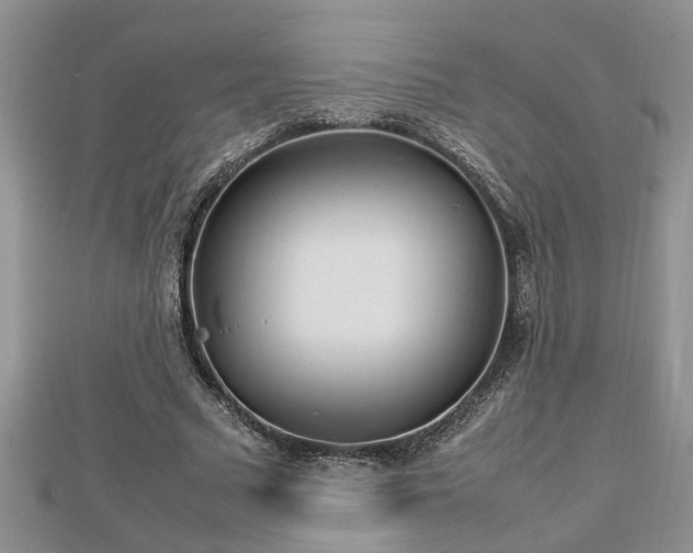 X0000112790681200908281507