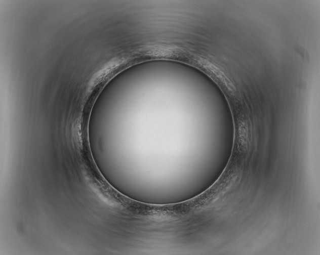 X0000112790682200908281507