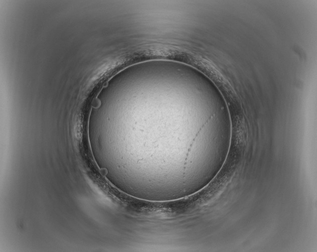 X0000112790683200908281507