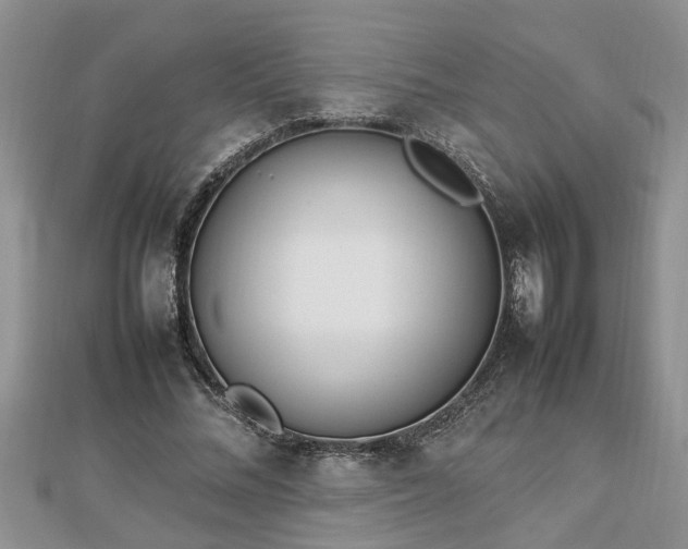 X0000112790684200908281507