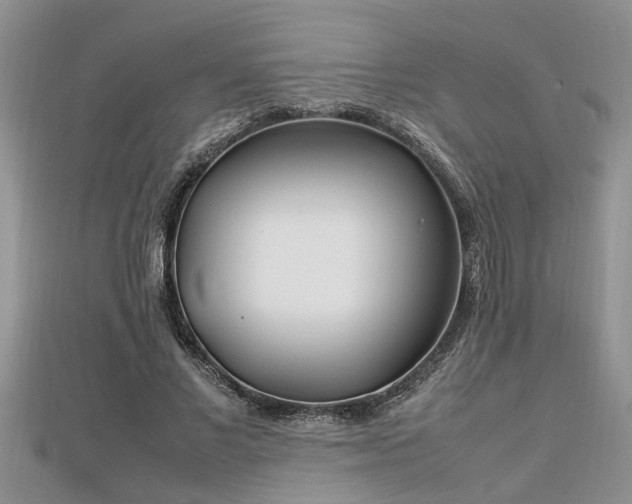 X0000112790685200908281507