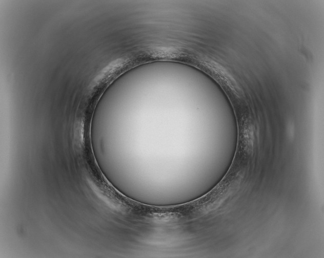 X0000112790686200908281507