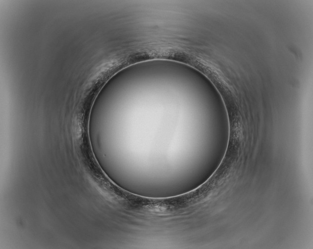 X0000112790687200908281507