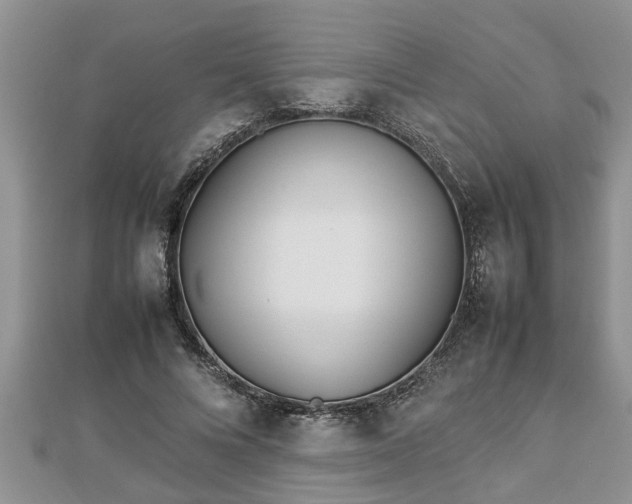 X0000112790688200908281507