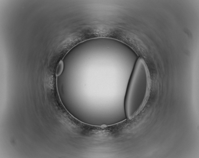 X0000112790689200908281507