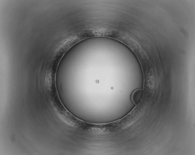 X0000112790690200908281507