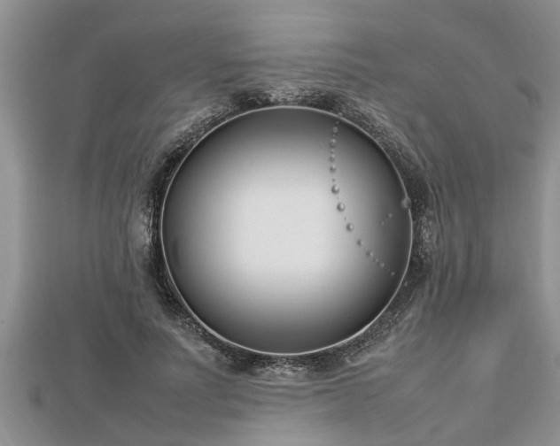 X0000112790691200908281507