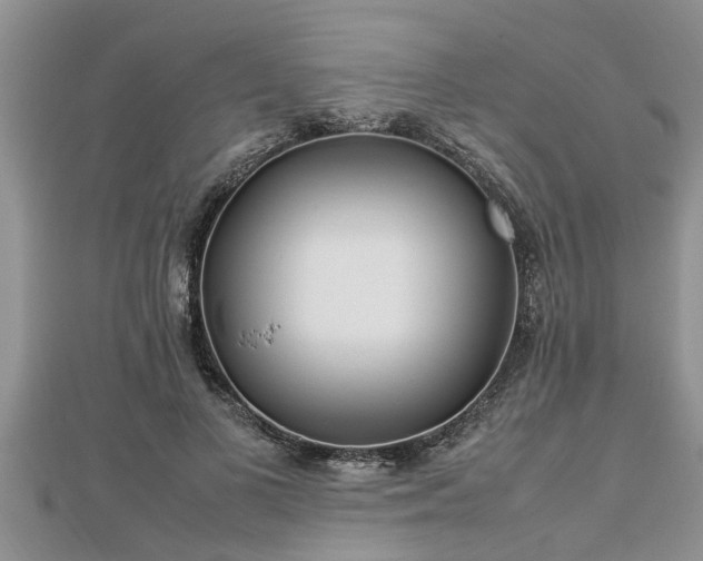 X0000112790693200908281507