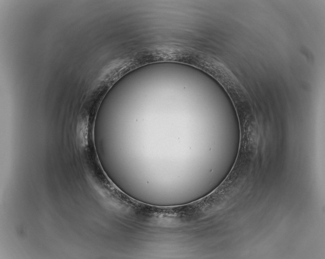 X0000112790694200908281507