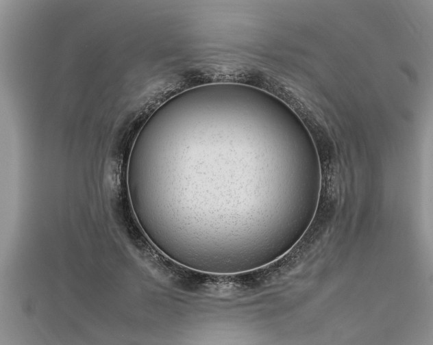 X0000112790695200908281507