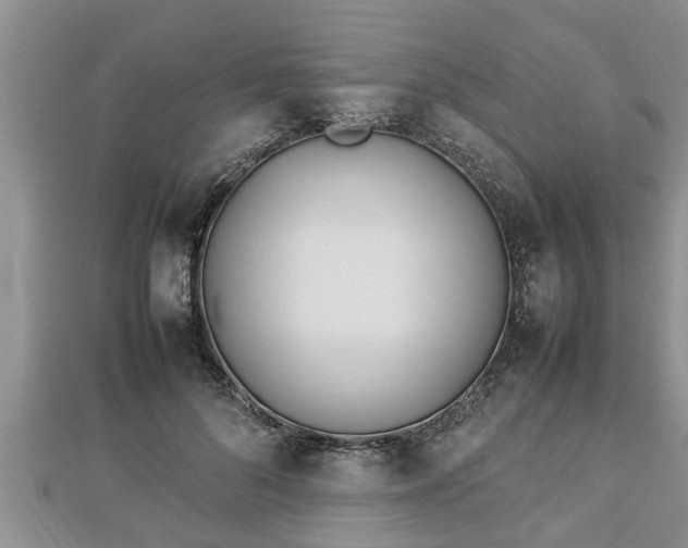 X0000112790696200908281507