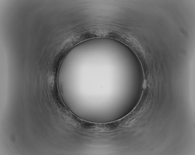 X0000112790697200908281507