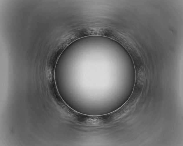 X0000112790699200908281507