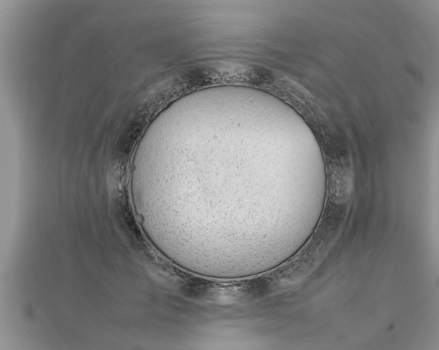 X0000112790701200908281507