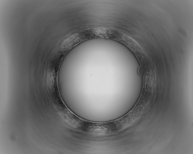 X0000112790702200908281507