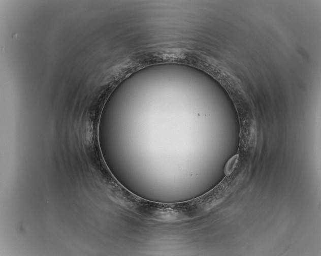 X0000112790704200908281507