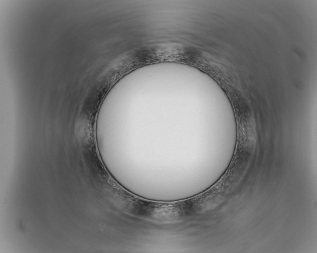 X0000112790705200908281507