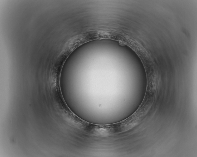 X0000112790706200908281507