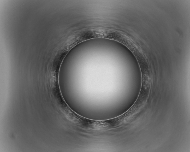 X0000112790707200908281507