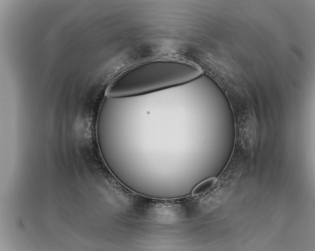 X0000112790708200908281507