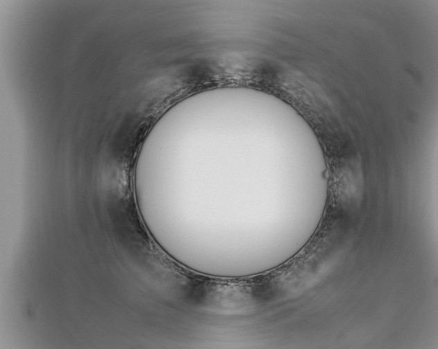 X0000112790709200908281507