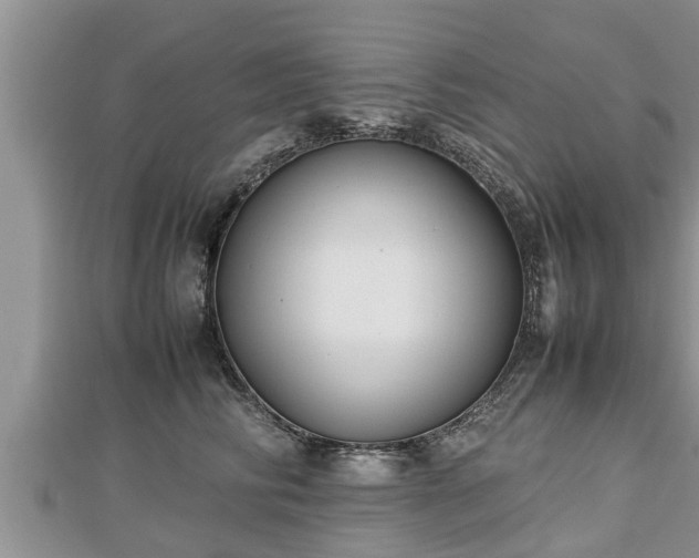 X0000112790710200908281507