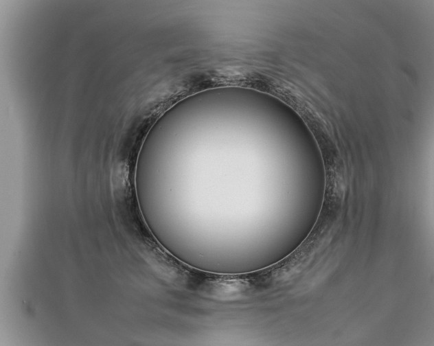 X0000112790711200908281507