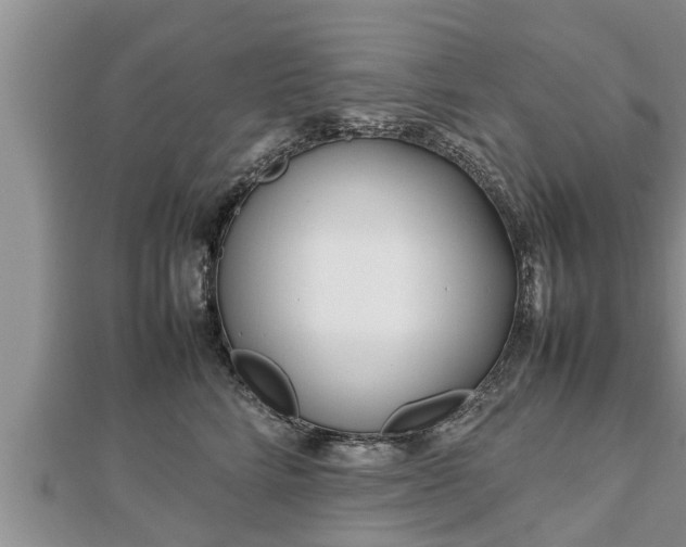 X0000112790712200908281507