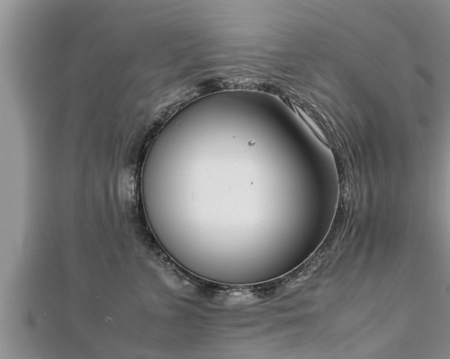 X0000112790715200908281506