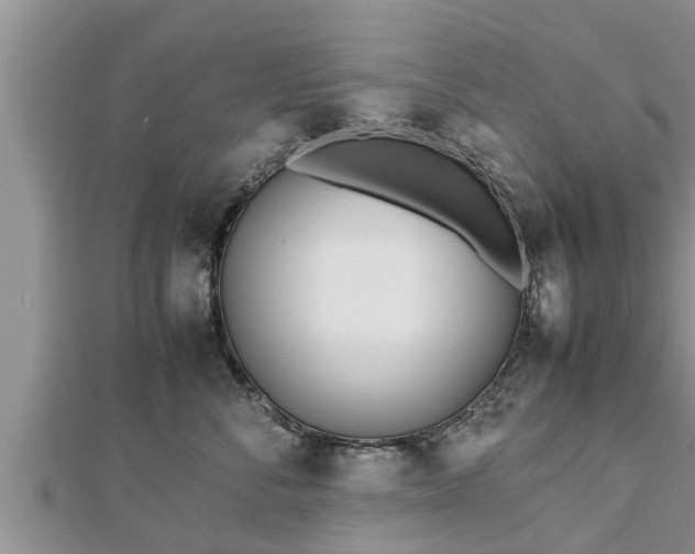 X0000112790716200908281506