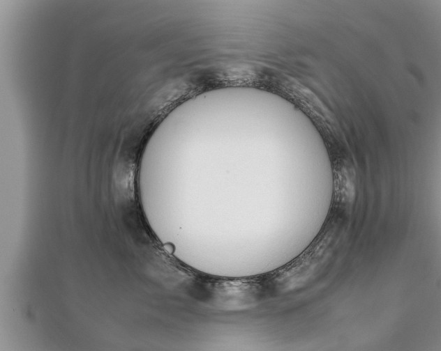 X0000112790717200908281506