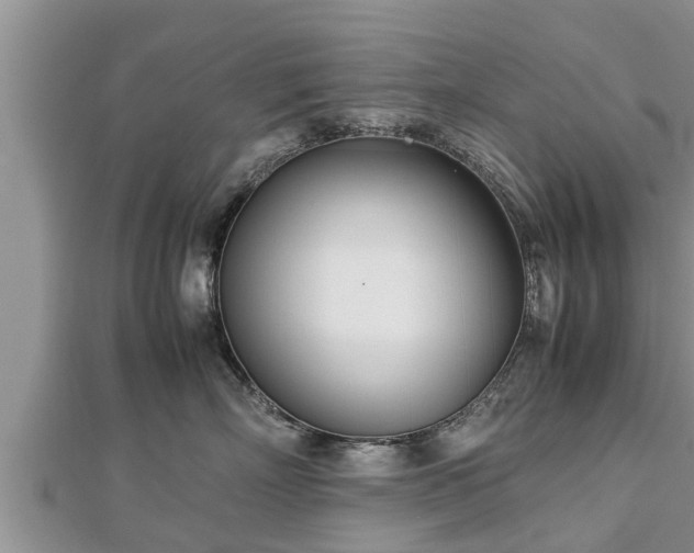 X0000112790718200908281506