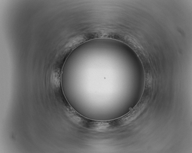 X0000112790719200908281506