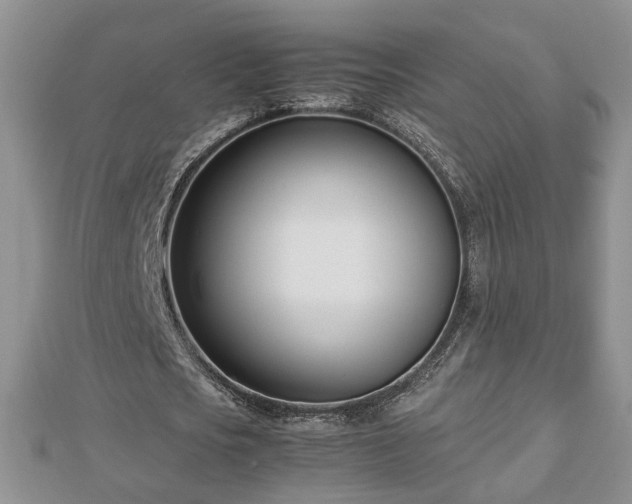 X0000112790721200908281506