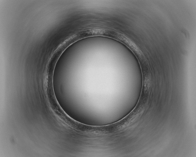 X0000112790722200908281506