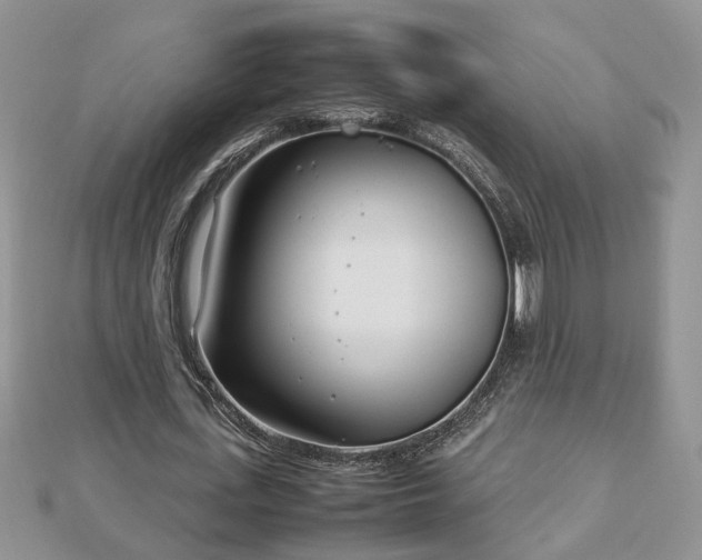 X0000112790723200908281506