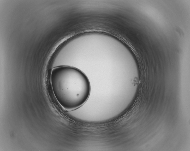 X0000112790724200908281506