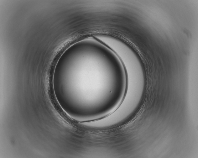 X0000112790725200908281506