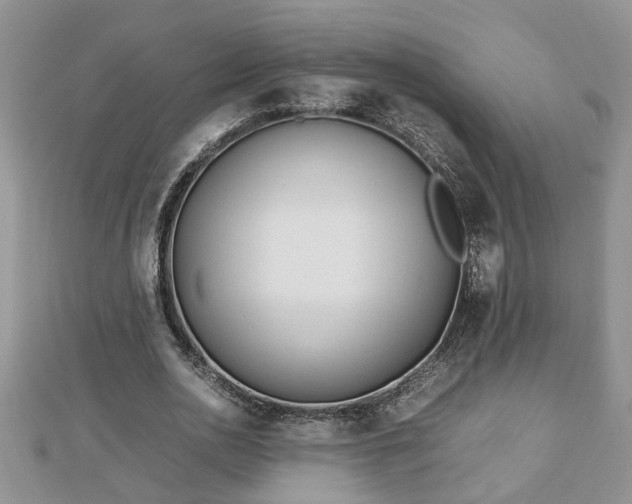 X0000112790726200908281506