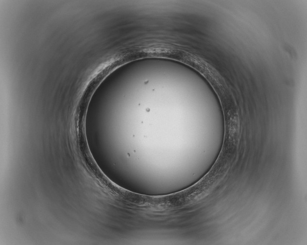 X0000112790727200908281506