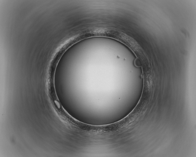 X0000112790728200908281506